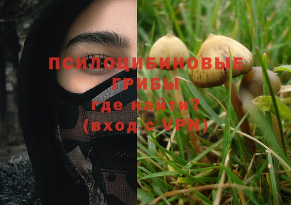 твердый Гусиноозёрск