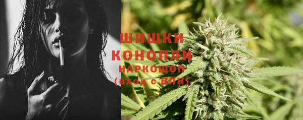 молекула духа Гусев
