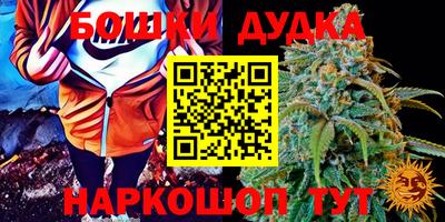 прущий лед Бийск